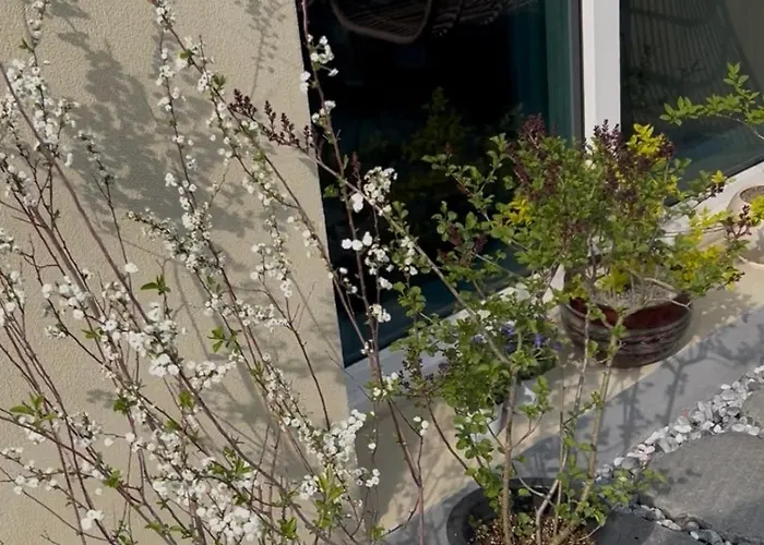 Station ㅣthe Interior Of A Hanok With A Terrace * ソウル特別市